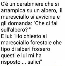 SCARICA BARZELLETTE SUI CARABINIERI DA