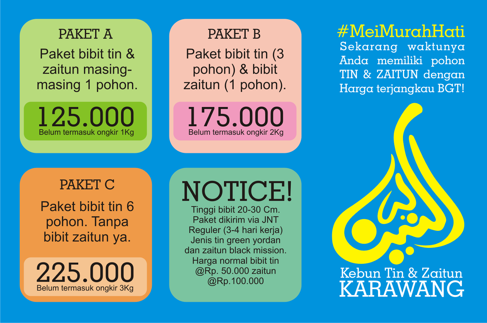 jual bibit tin zaitun karawang jual bibit tin zaitun karawang