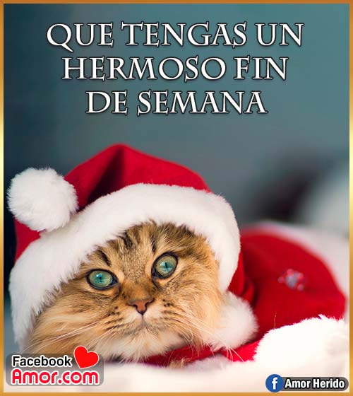 que tengas un hermoso fin de semana sábado que tengas un hermoso fin de semana sábado