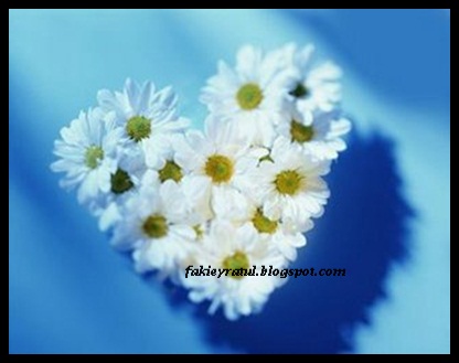 fakieyratuL A.K.A fasihAh :): ~~~ BuNga-buNgA CintA...