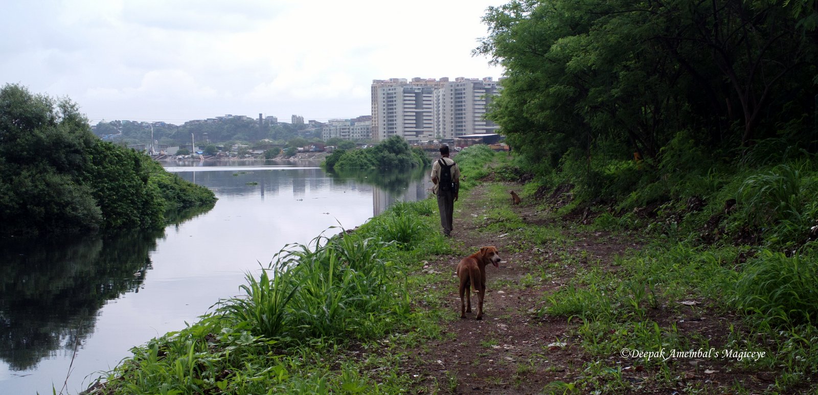 Mahim Nature Park Methodology Mahim Nature Park Methodology
