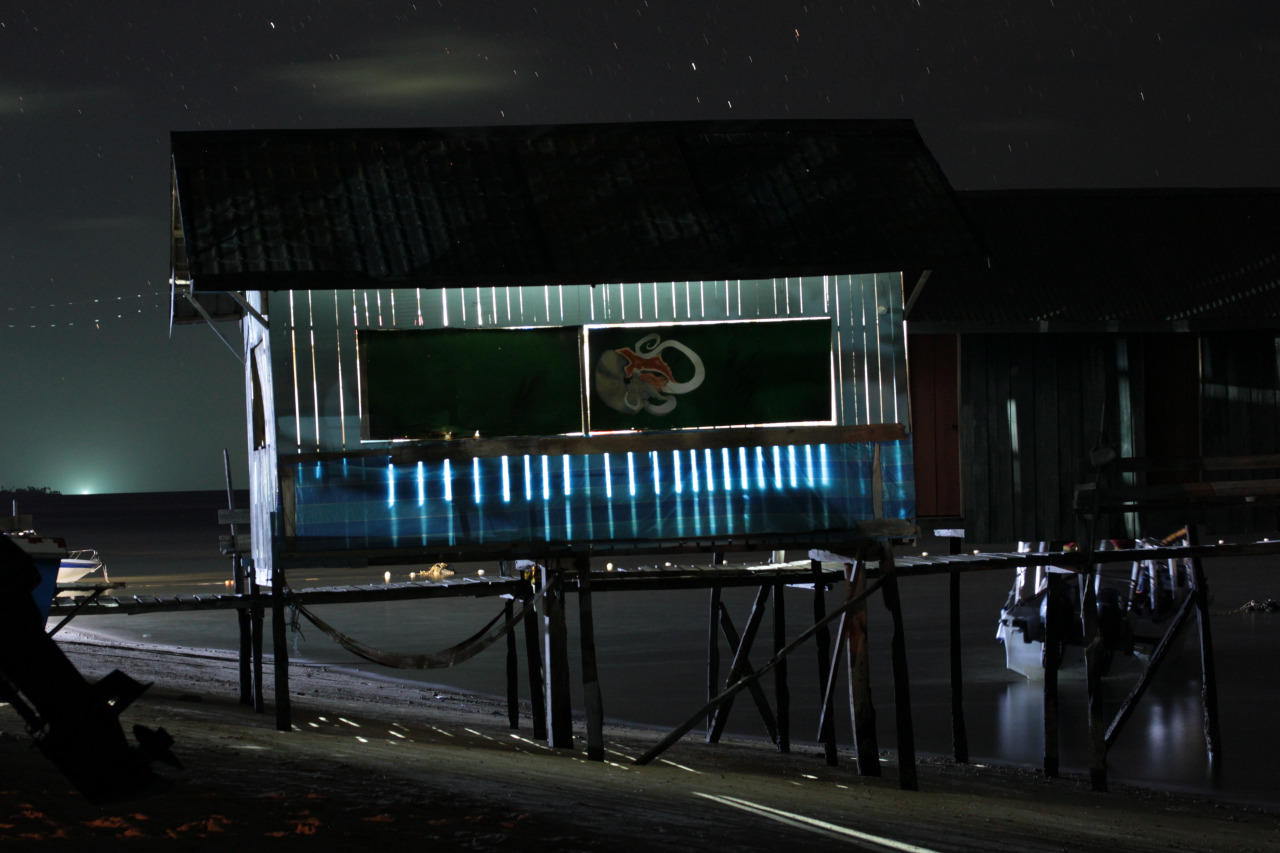 TRACC Borneo Volunteers Best marine science student in the world 2nd