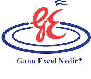 Gano Excel Ürünleri Nelerdir? 