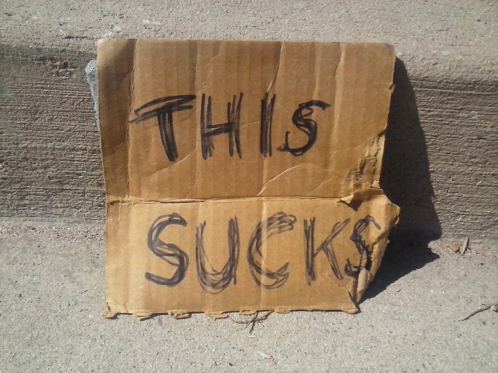 the Cardboard Sign Project