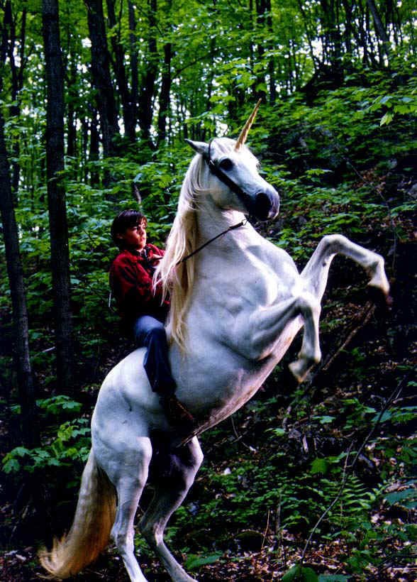 live-action-unicorns-in-movies-tv