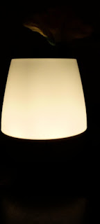 Dimmable Warm White Bedside LED Table Lamp with Flower Vase Dimmable Warm White Bedside LED Table Lamp with Flower Vase