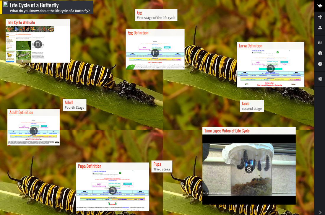 padlet link