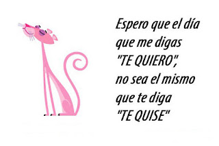 imagenes con frases hirientes para un hombre imagenes con frases hirientes para un hombre
