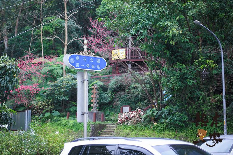 桂竹園景觀餐廳|土城桂竹園|桂竹園|土城櫻花|土城賞櫻