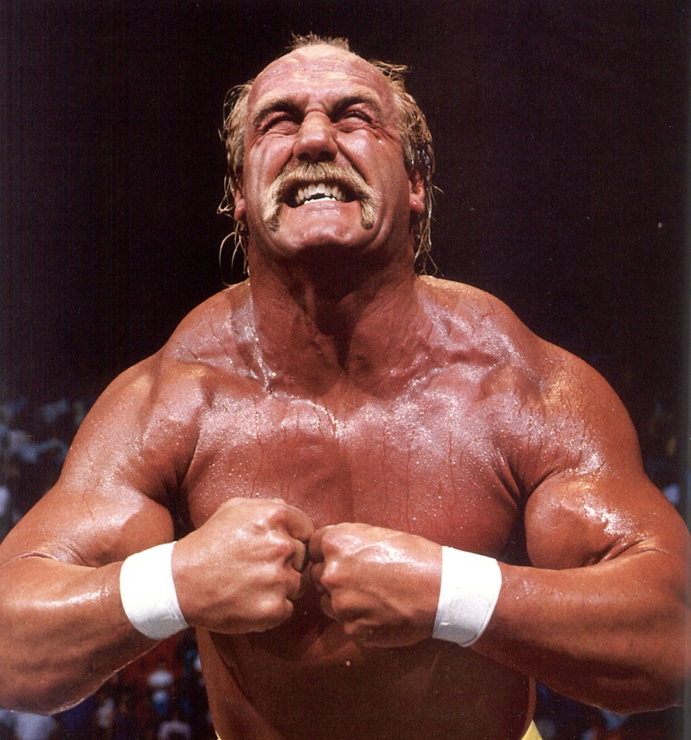 Hulk Hogan Hulk Hogan
