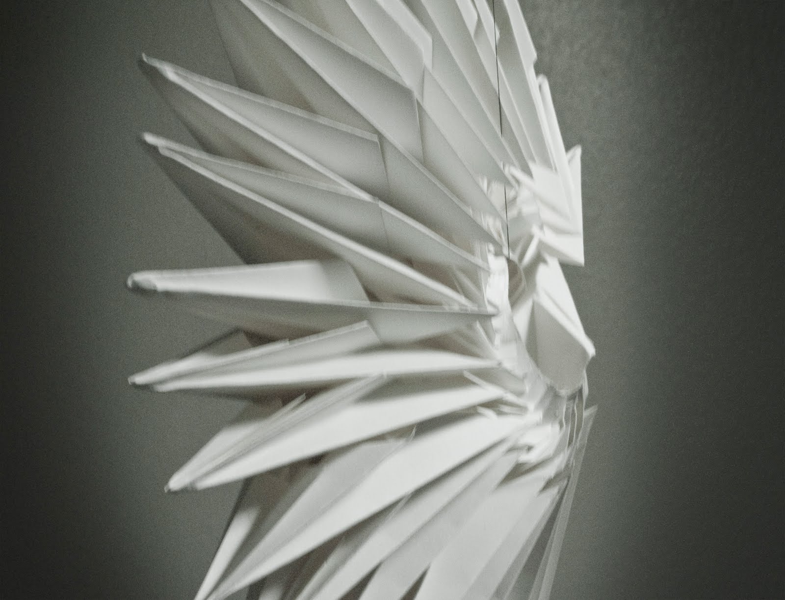 N.Schaffner: Final 3D paper model task 1