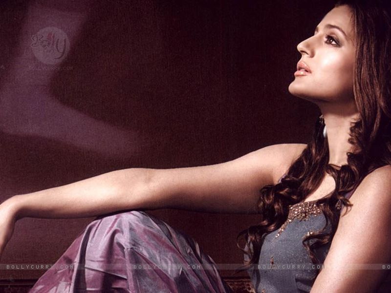 H D Wallpaper: ameesha patel