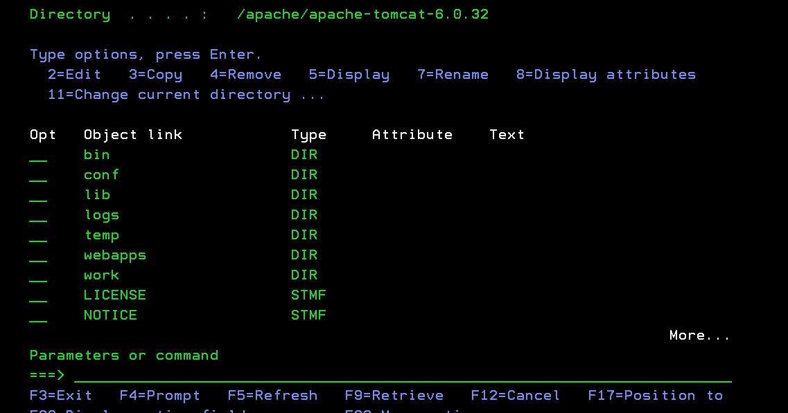 Apache tomcat is a web server using
