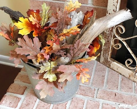 Fall leaves in a bucket with driftwood