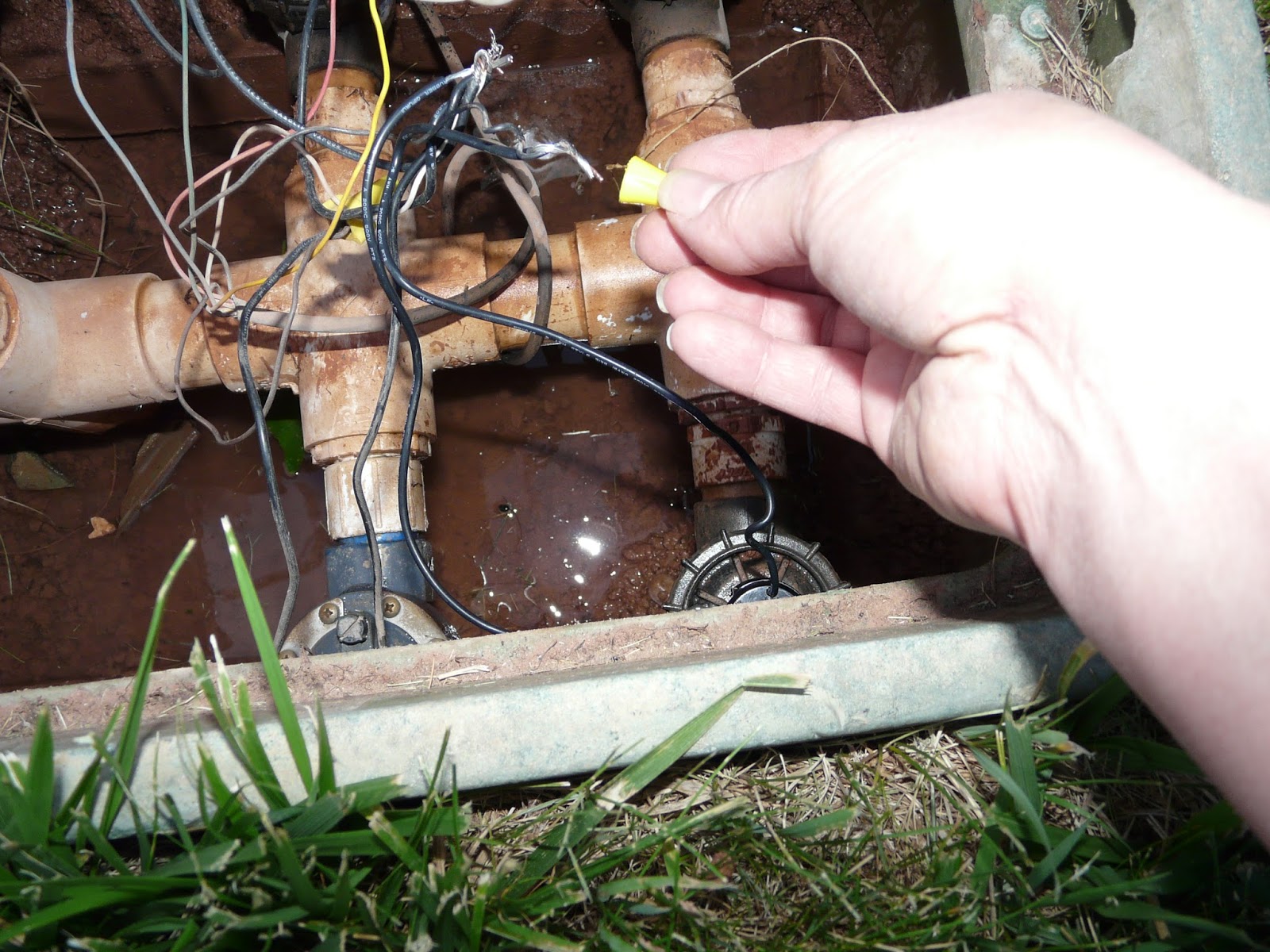 The "Secret" is Gratitude Sprinkler Valve Box Solenoid Replacement and