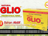 GLIO (Gliocladium) GLIO (Gliocladium)