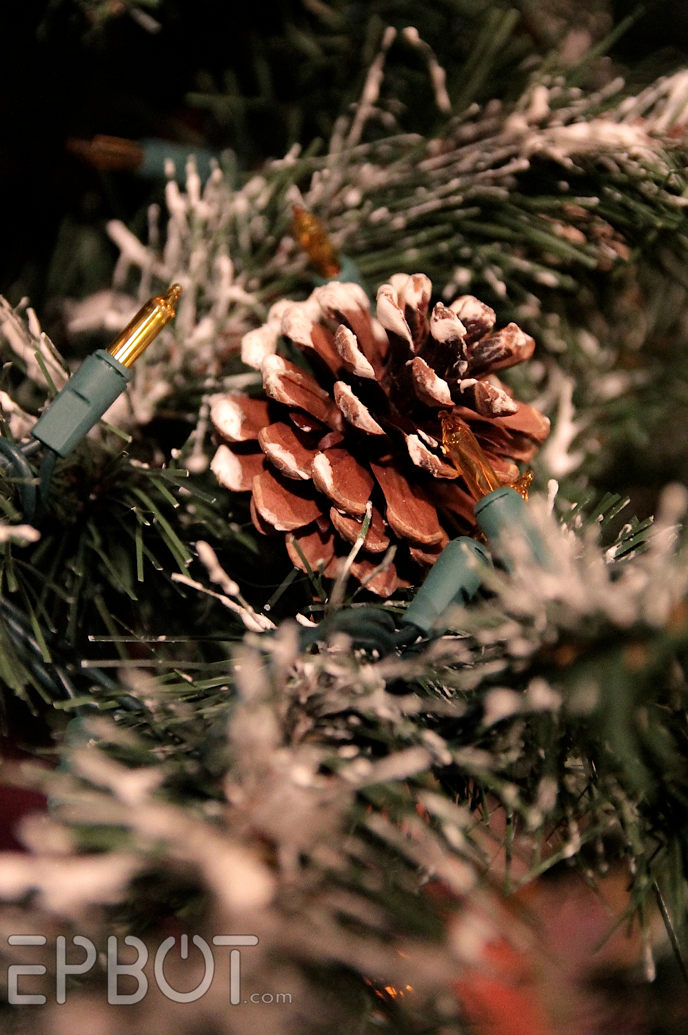 EPBOT: DIY Tree Flocking - One Year Update!