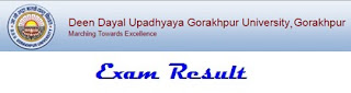 DDU Result 2021 DDU Gorakhpur University Result 2021