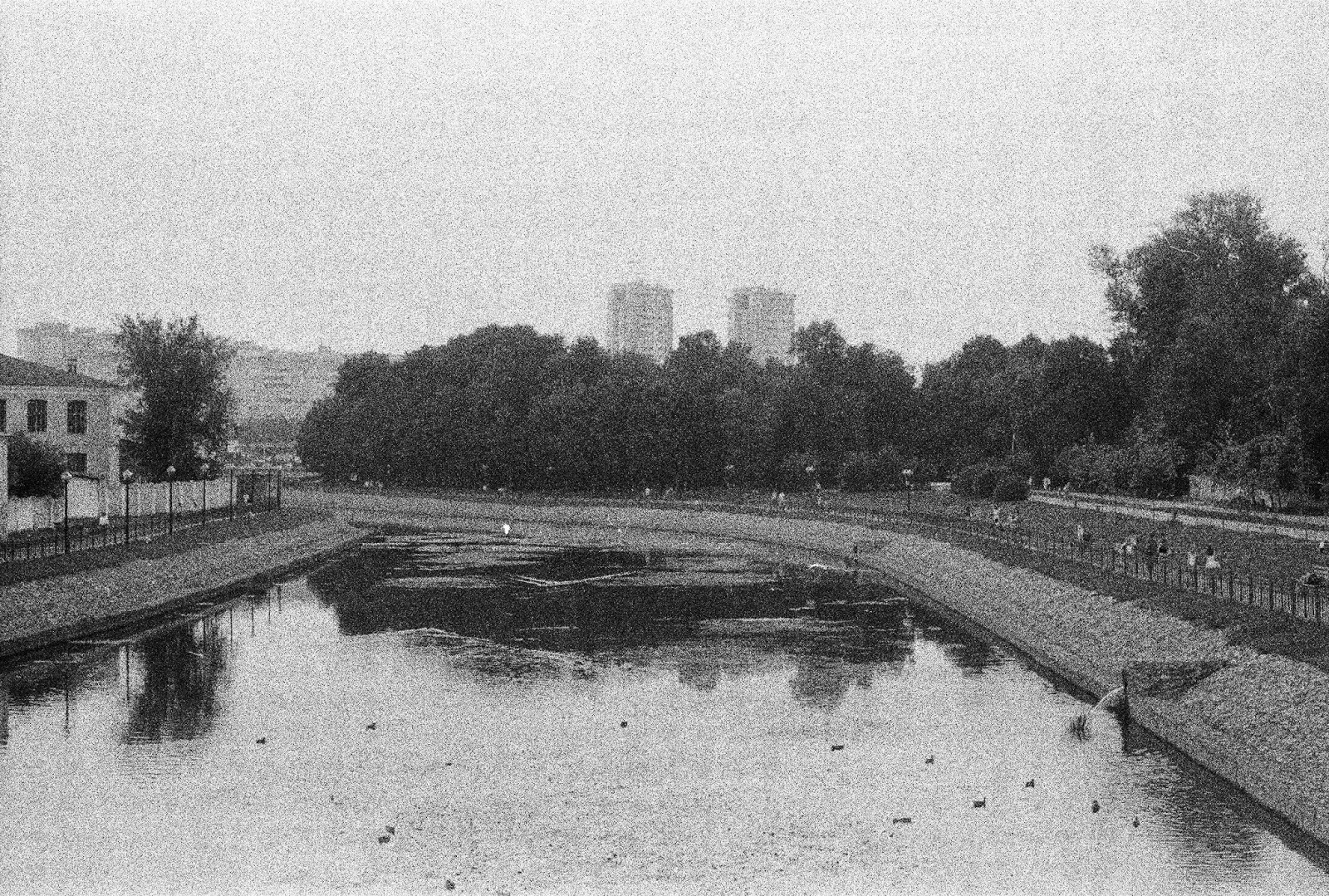 Тасма 250
