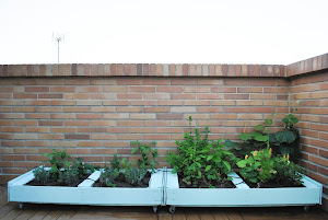 http://www.mylittlebrunch.com/2014/06/diy-como-hacer-un-huerto-urbano-con.html #DIY #huertourbano #huertoconpalé