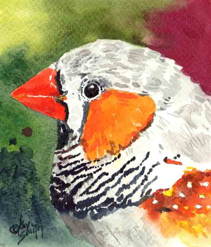 KaySmithBrushworks Zebra Finch