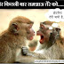 Funny (Woh Teri Bhabhi Hai Pagle) Jokes