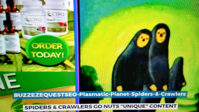 BUZZEZEQUESTSEO-Plasmatic-Planet-Spiders-&-Crawlers
