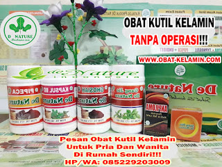 Obat Kutil Kelamin Obat Kutil Kelamin