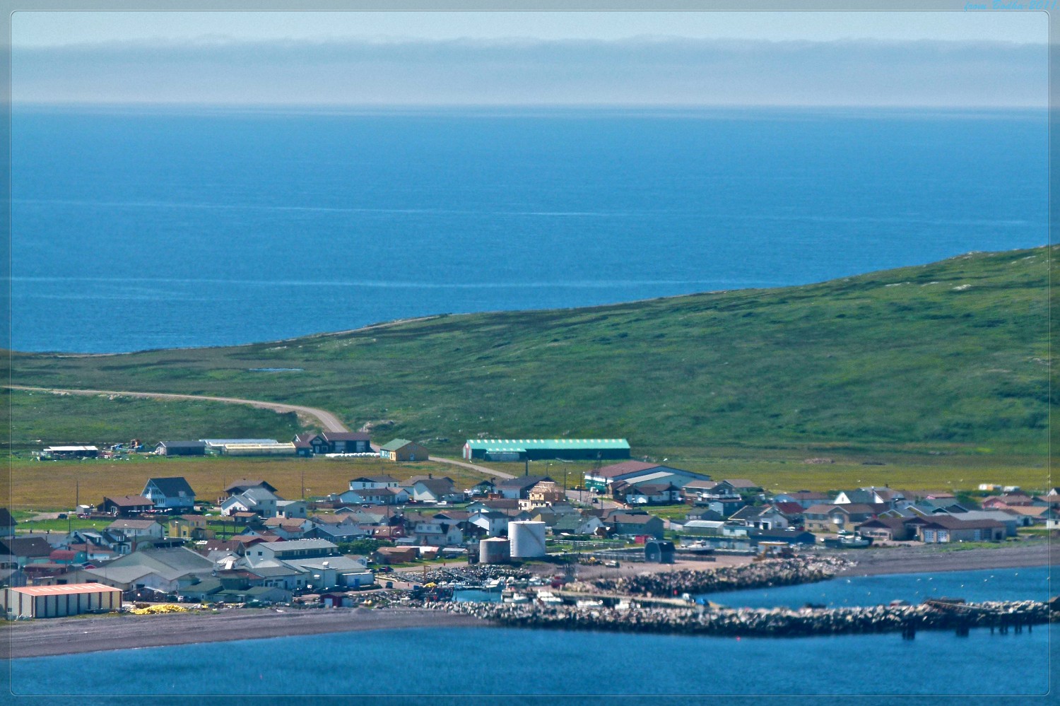 Île Saint Pierre Saint Pierre et Miquelon — Wikipédia