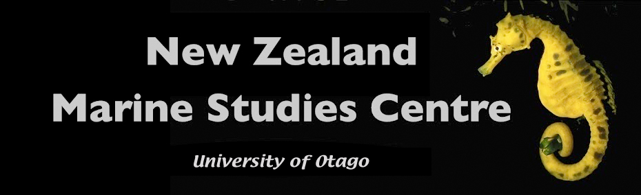 NZ Marine Studies Centre