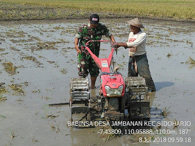 BABINSA BANTU PETANI BAJAK SAWAH