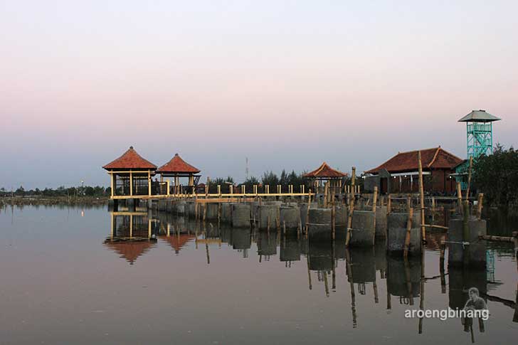pekalongan mangrove park