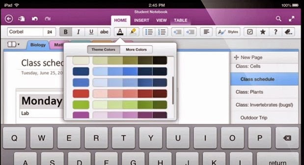 OneNote on iPad