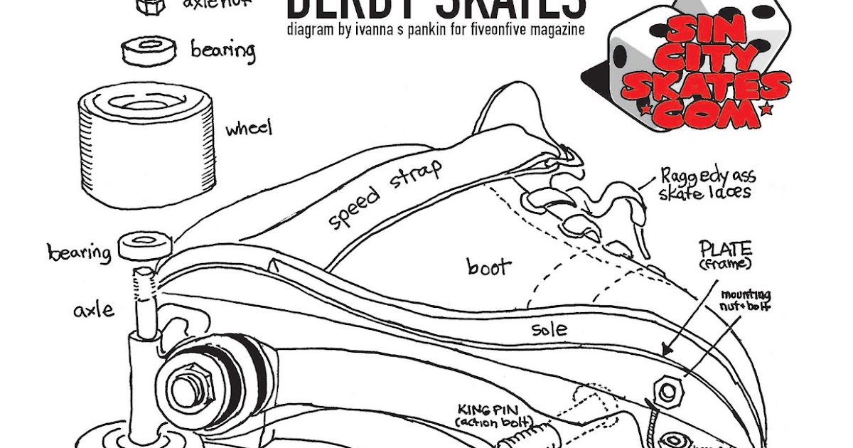 Anatomy of a Roller Skate 