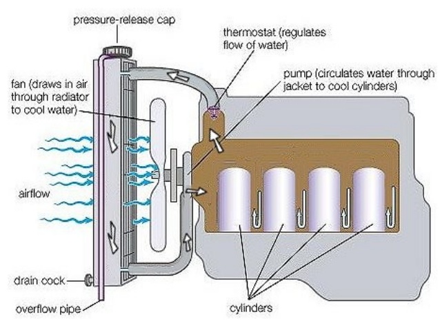 engine cooling system