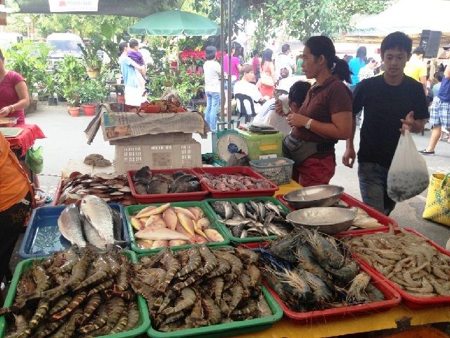 Cara Penjualan Ikan Lele