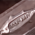 PARENTHETICAL CAPTURES FROM THE MOTION PICTURE 'JAWS'