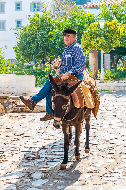 No cars are allowed in Hydra - the only modes of transportation are bikes and donkeys No cars are allowed in Hydra - the only modes of transportation are bikes and donkeys