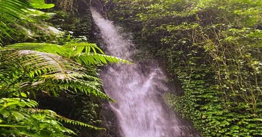 5 Tempat Wisata di Jember yang Wajib Dikunjungi ...