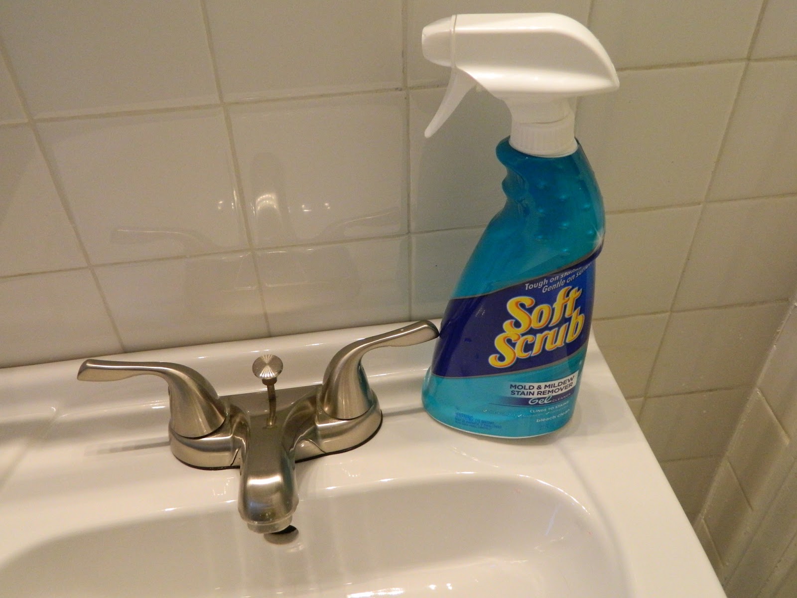 mold mildew