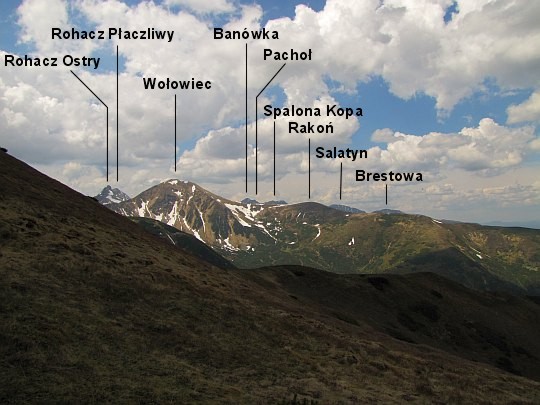 Panorama zachodnia z Trzydniowiańskiego Wierchu.