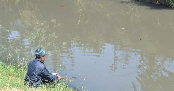 99 Arti Mimpi Mancing Ikan Bawal Menurut Primbon Islam Hindu Dan Kristen Mimpi Orang Mancing