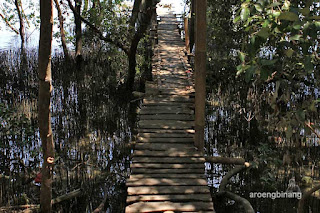 taman mangrove morosari demak