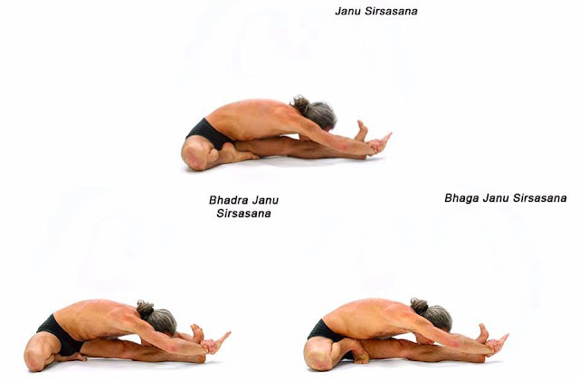 Jill Ainsworth: Ashtanga Vinyasa Yoga Sivananda and Meditation