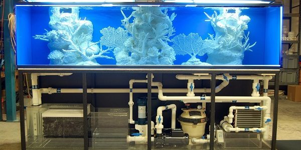 Dunia Akuarium Filter Aquarium Air Tawar Yang Baik Dan Berukut