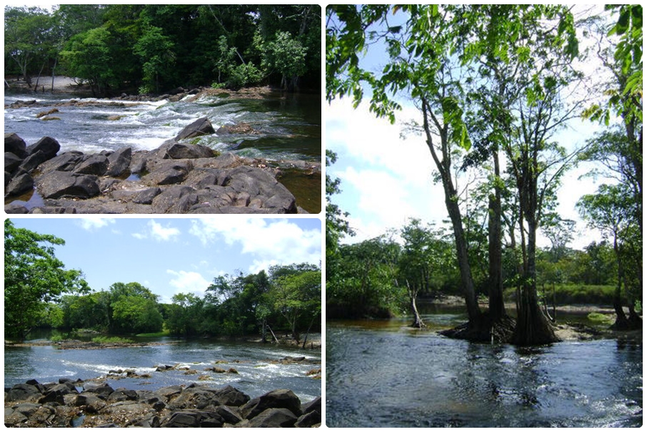 ...pecado é não VIAJAR!!! Tartarugalzinho