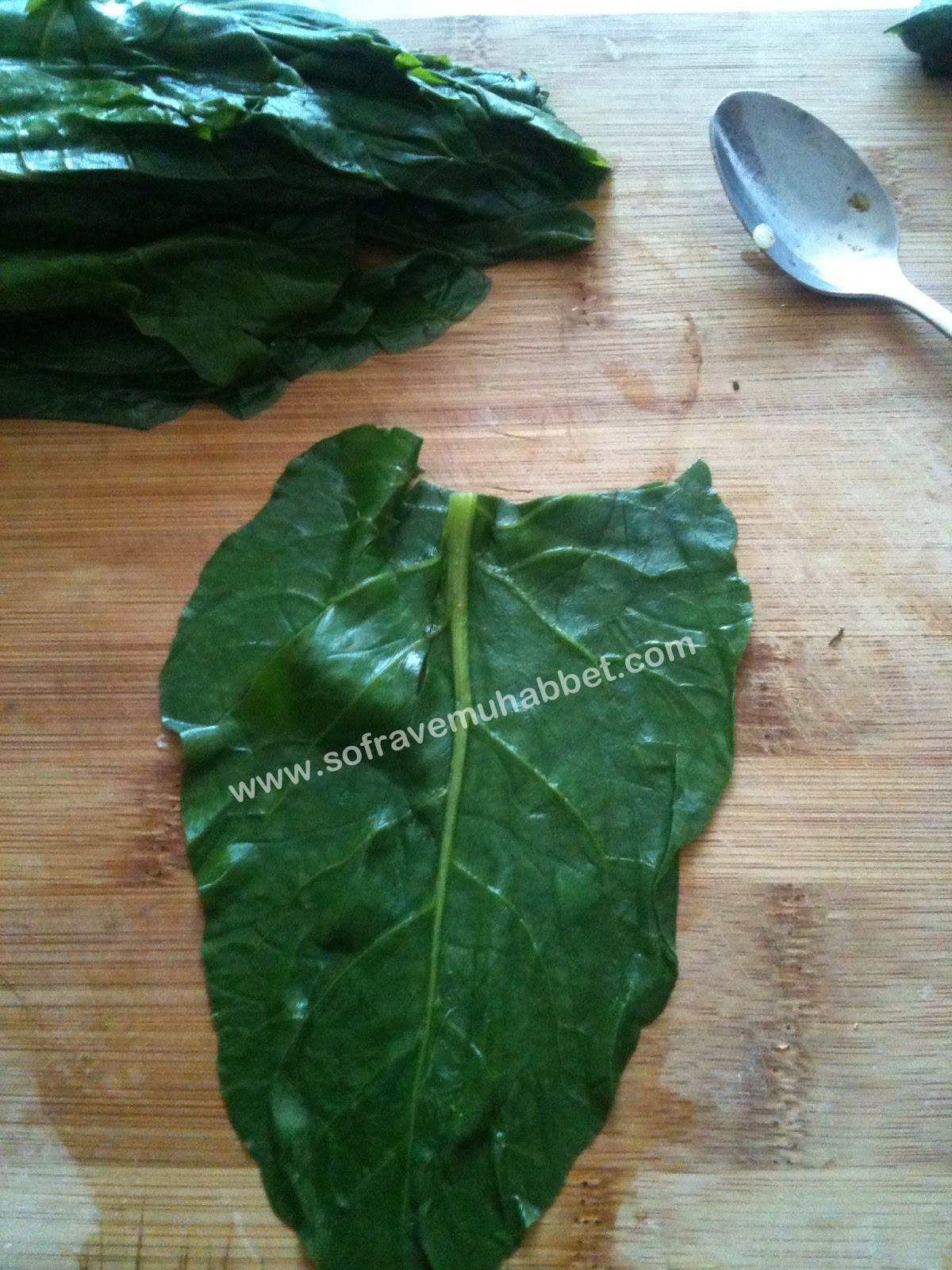 Hér Kitchén SWISS CHARD DOLMA