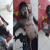 Hanya Orang Malas Yang Tidak Baca Dan Bagikan Info Penting Ini..!!! Mengerikan".. Berhenti Main Ponsel Sambil Tiduran Jika Tidak Ingin Penyakit Di Bawah Ini Melanda Keluarga Anda..!!! Brikut Ini Akibat'Nya
