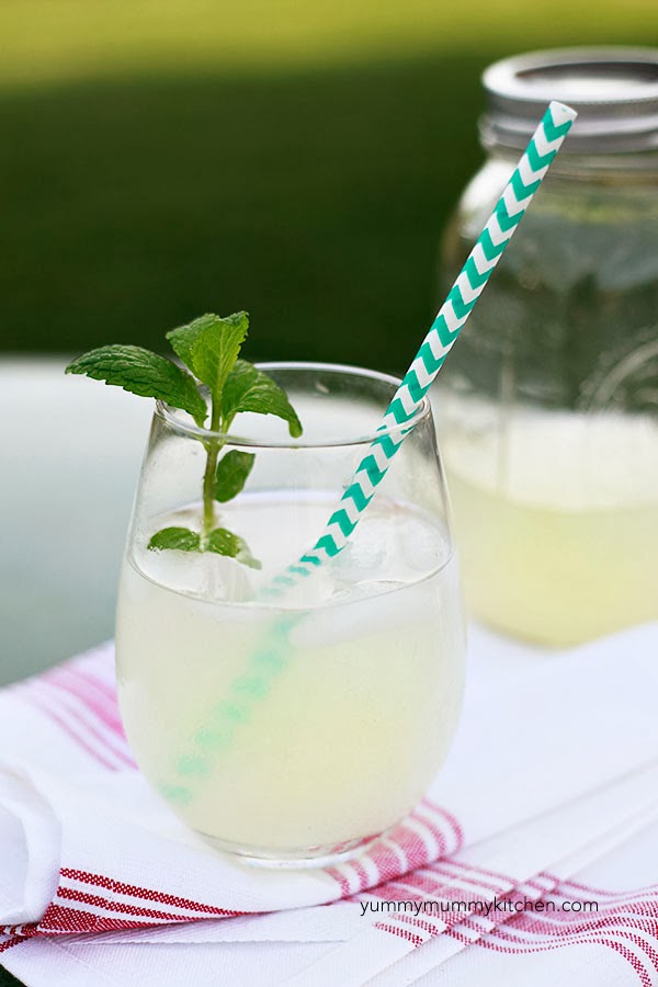 Sugar Free Lemonades