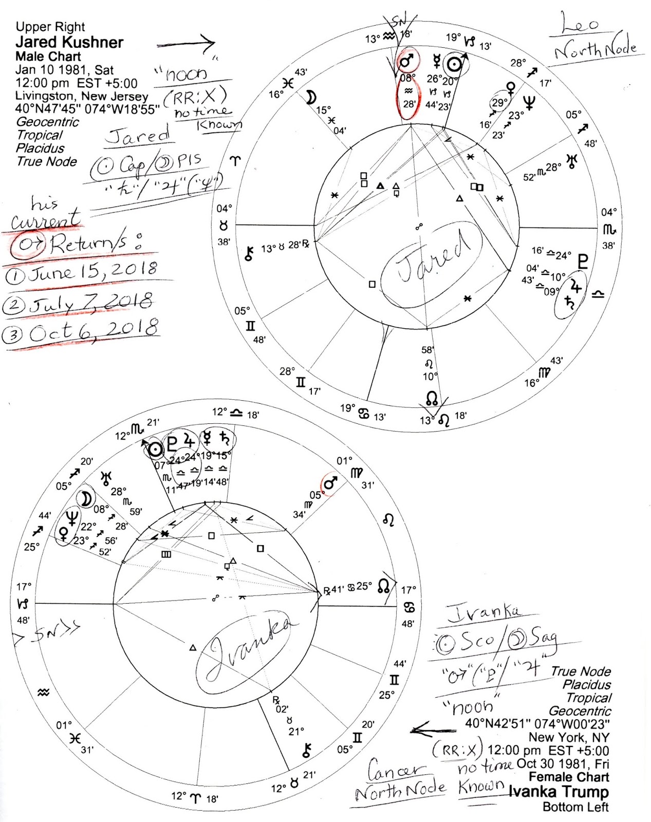 Picasso Natal Chart